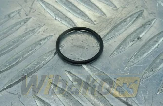 Injektor-O-Ring wbk 7381843