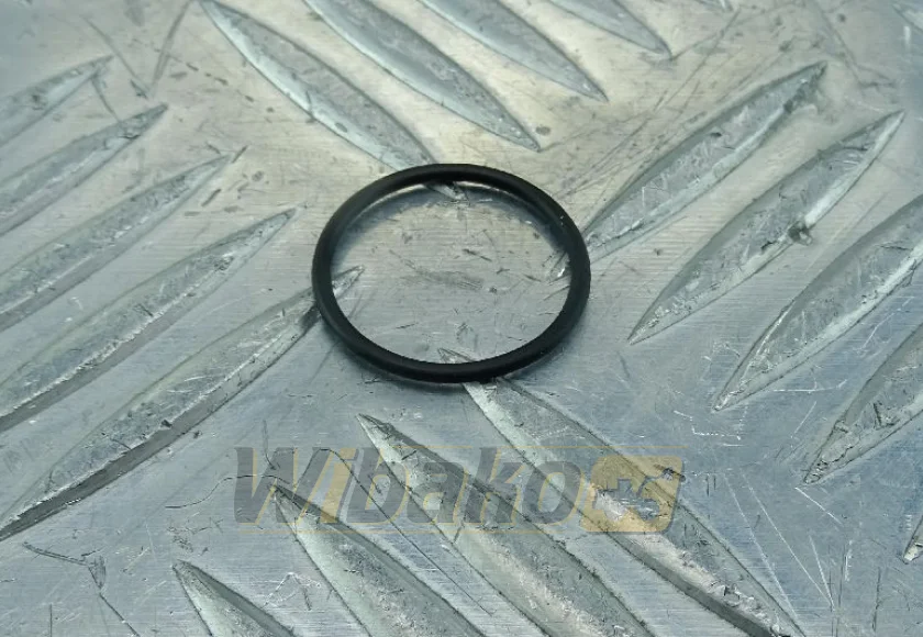 Injektor-O-Ring wbk 7381843 – neu