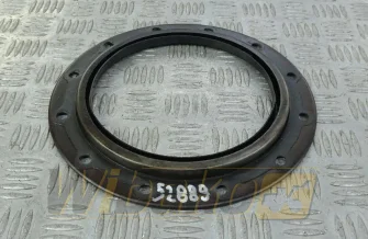 Tył Cummins 4923644