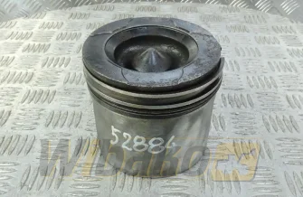 Kolben des Motors für Motor Cummins QSM11 4059947