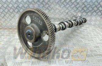 Nockenwelle für Motor Mercedes OM906LA A906/21