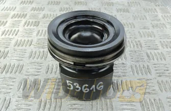 Kolben des Motors Mahle 7316-003-02