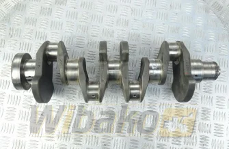 Kurbelwelle Deutz 1011/2011 04270236/04178684R