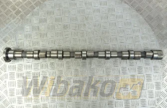 Nockenwelle für Motor Cummins QSB6.7 3954100