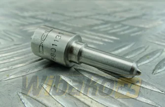 Einspritzdüse Delphi 6801131