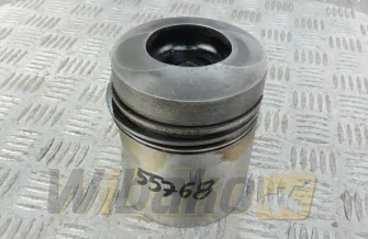 Kolben des Motors Deutz 04231966