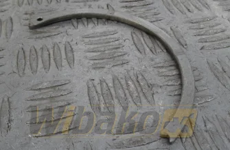  Cummins 4926019