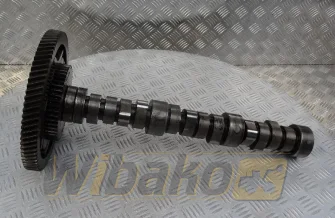 Nockenwelle für Motor Mercedes OM441 4030520401