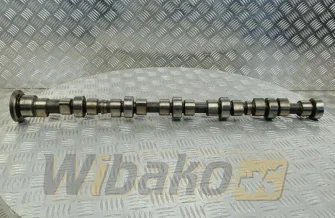 Nockenwelle Cummins 4893202