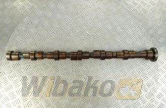 Nockenwelle Iveco 4896421