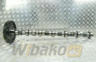 Nockenwelle für Motor Deutz TCD2012 L06 2V 04511878