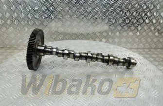 Nockenwelle für Motor Deutz BF4M1012 04207168
