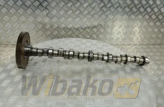 Nockenwelle für Motor Deutz BF6M2012 04502768