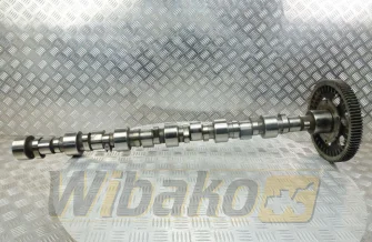 Nockenwelle für Motor Caterpillar C13 224-1275