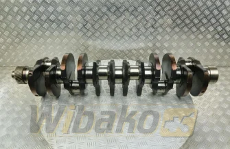 Kurbelwelle für Motor Liebherr D926 3020658