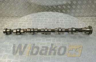 Nockenwelle Iveco 504094080