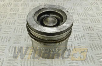 Kolben des Motors Cummins 5267522