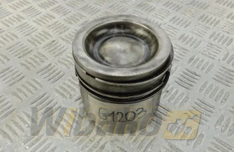 Kolben des Motors Cummins 5295571