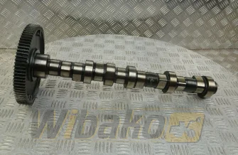 Nockenwelle für Motor Deutz TCD2012 L04 2V 04511876