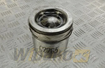 Kolben des Motors Cummins 107011.01