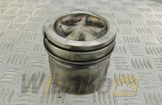 Kolben des Motors Cummins 4955160
