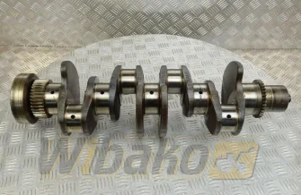 Kurbelwelle Cummins 5289840