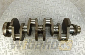 Kurbelwelle für Motor Cummins 3.9 3968066
