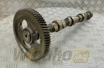 Nockenwelle für Motor Cummins 3.9 3929885