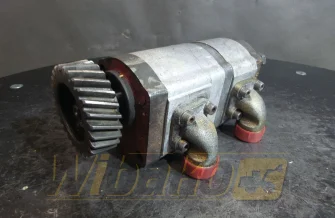 Zahnpumpe Caproni 20C8.2X095 1517222737