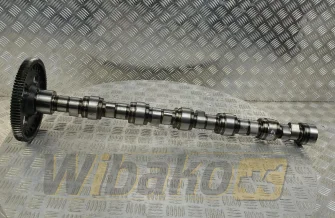 Nockenwelle für Motor Caterpillar 3126 216-7921