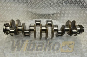 Kurbelwelle für Motor Caterpillar 3126 271-5658