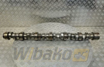 Nockenwelle für Motor Liebherr D936 L A6 10119424