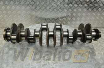 Kurbelwelle Caterpillar 1013228