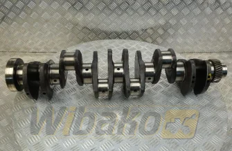 Kurbelwelle für Motor Cummins 5.9 3915259