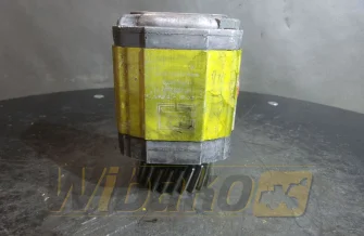 Zahnpumpe Vivolo XV2P-D/C 