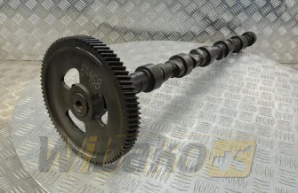 Nockenwelle Cummins 3966430