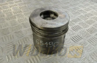 Kolben des Motors Iveco 500342345