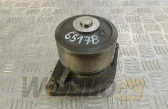 Wasserpumpe Iveco 504062854