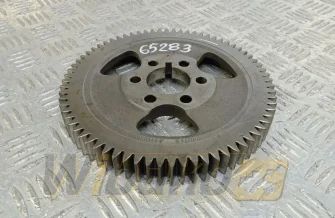  Cummins 4896381