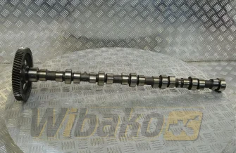 Nockenwelle für Motor Cummins 5.9 3929886