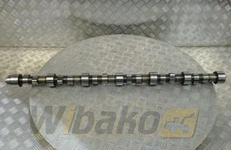 Nockenwelle M16 für Motor Liebherr 9157877