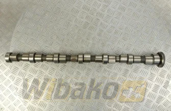 Nockenwelle für Motor Cummins QSB6.7 3979506