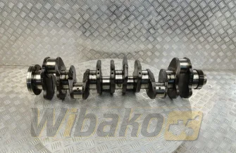 Kurbelwelle für Motor Caterpillar C9.3 282-7958