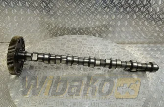 Nockenwelle für Motor Deutz TCD2013 L06 2V 04511872