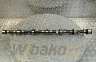 Nockenwelle für Motor Volvo TD103 8194480