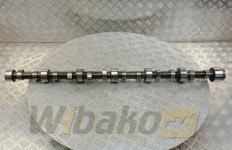 Nockenwelle für Motor Volvo TD103 8194480