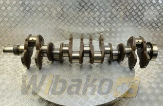 Kurbelwelle für Motor Volvo TD102KCE 20381957
