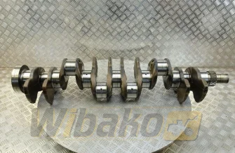 Kurbelwelle für Motor Volvo TD103KAE 20381957