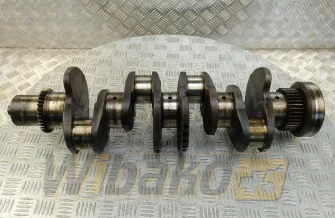 Kurbelwelle Cummins 3968176