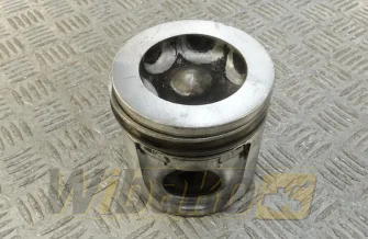 Kolben des Motors Deutz 04253313